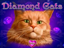 diamond-cats logo