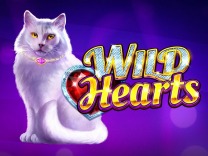 wild-hearts logo