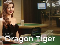 cgy-dragon-tiger-n20 logo