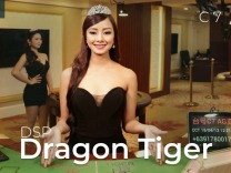 dsp-dragon-tiger-c7 logo