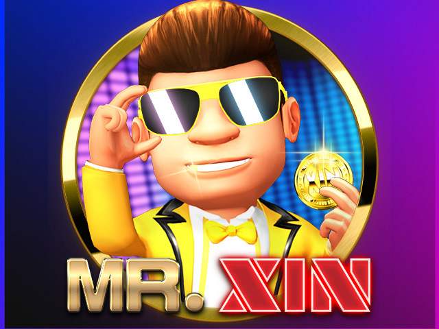 Mr XIN