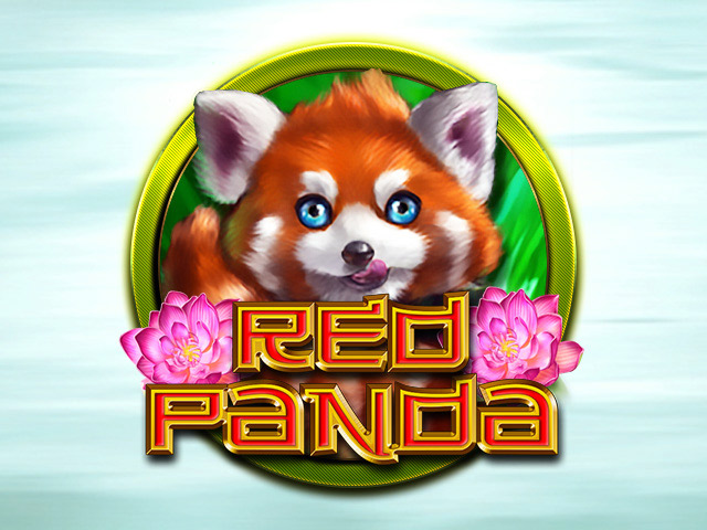 Red Panda