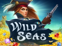 wild-seas logo