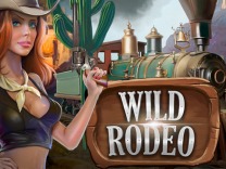 wild-rodeo logo