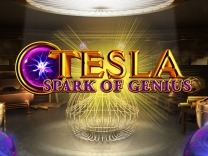 tesla logo