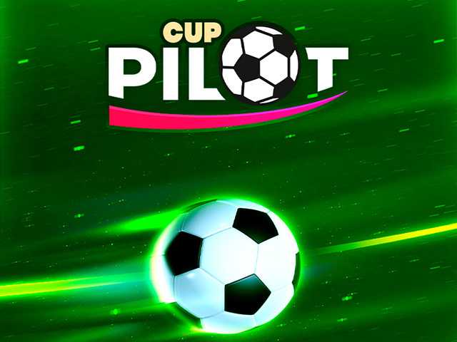 Pilot Cup