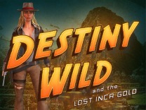 destiny-wild logo