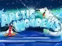 Arctic Wonders