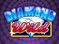 diamond-wild-2 logo