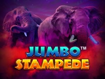 jumbo-stampede logo