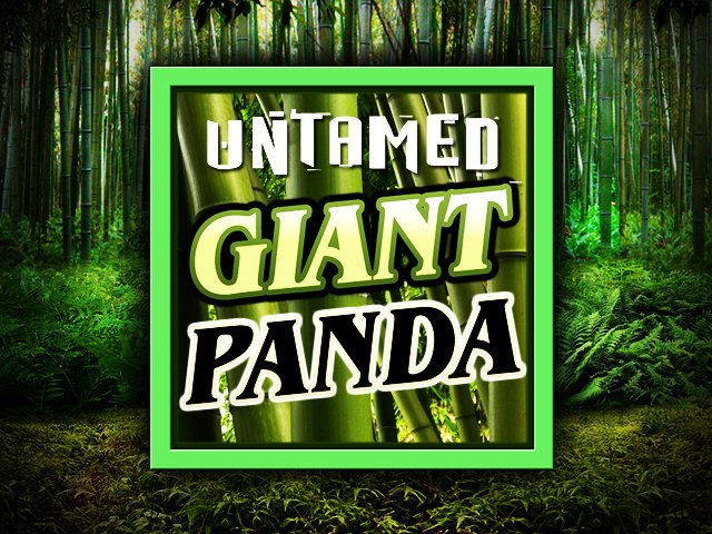 Untamed - Giant Panda