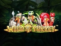 wild-turkey logo