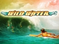 wild-water logo