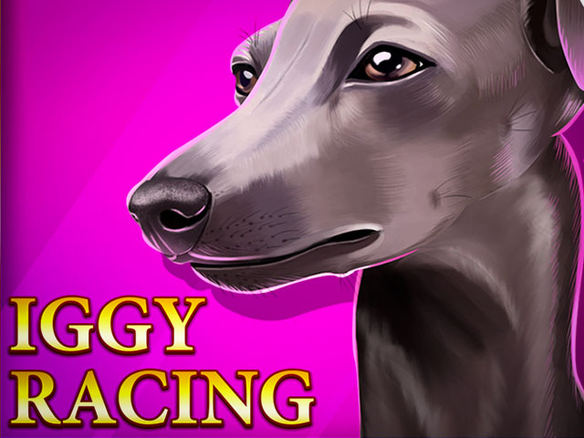 Iggy Racing