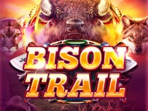 bison-trail logo