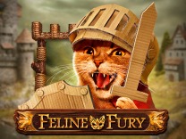 Feline Furry