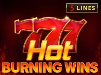 hot-burning-wins logo