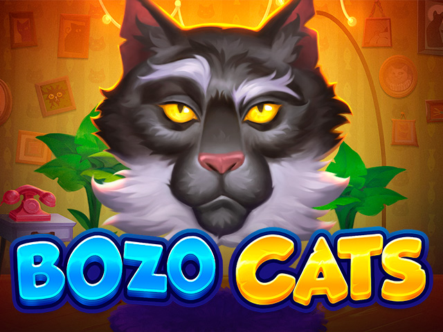 Play Bozo Cats