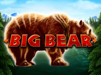 big-bear logo