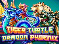 dragon-tiger-phoenix-turtle logo