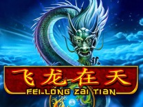 fei-long-zai-tian logo