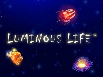 luminous-life logo