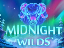 midnight-wild logo