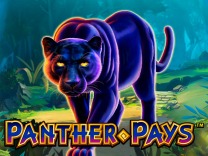 panther-pays logo