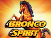 Bronco Spirit