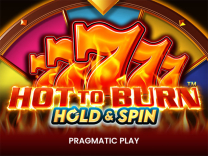 hot-to-burn-hold-and-spin logo