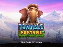 Tundra's Fortune