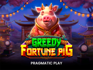 Greedy Fortune Pig