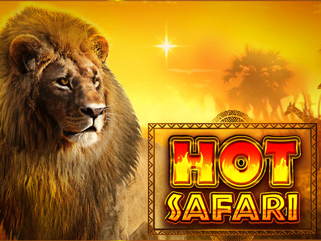 Hot Safari