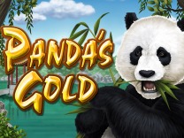 pandas-gold logo