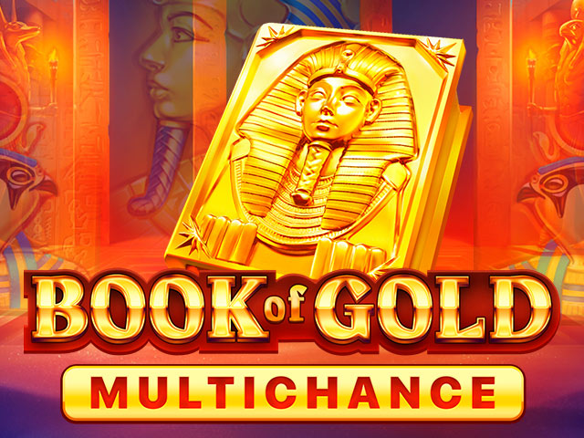 Book of Gold Multichance
