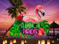flamingo-paradise logo