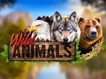 wild-animals logo