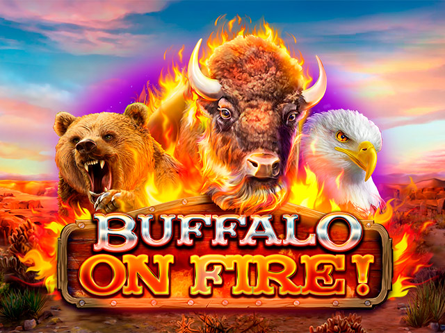 Buffalo on Fire