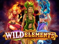 wild-elements logo