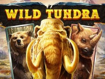wild-tundra logo