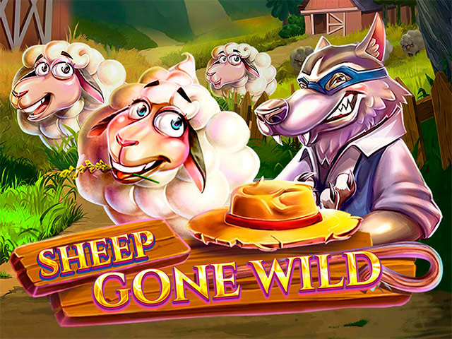 Sheep Gone Wild