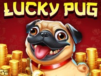 Lucky Pug