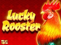 Lucky Rooster