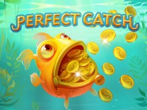 Perfect Catch