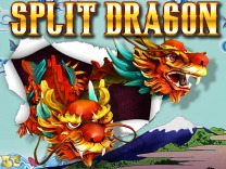 split-dragon logo