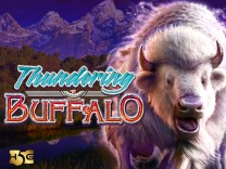 Thundering Buffalo