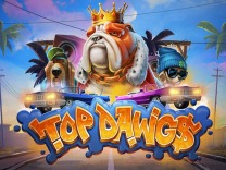 Top Dawg$