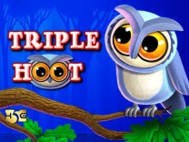 Triple Hoot