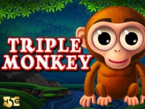 Triple Monkey