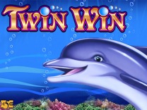 Twin Win